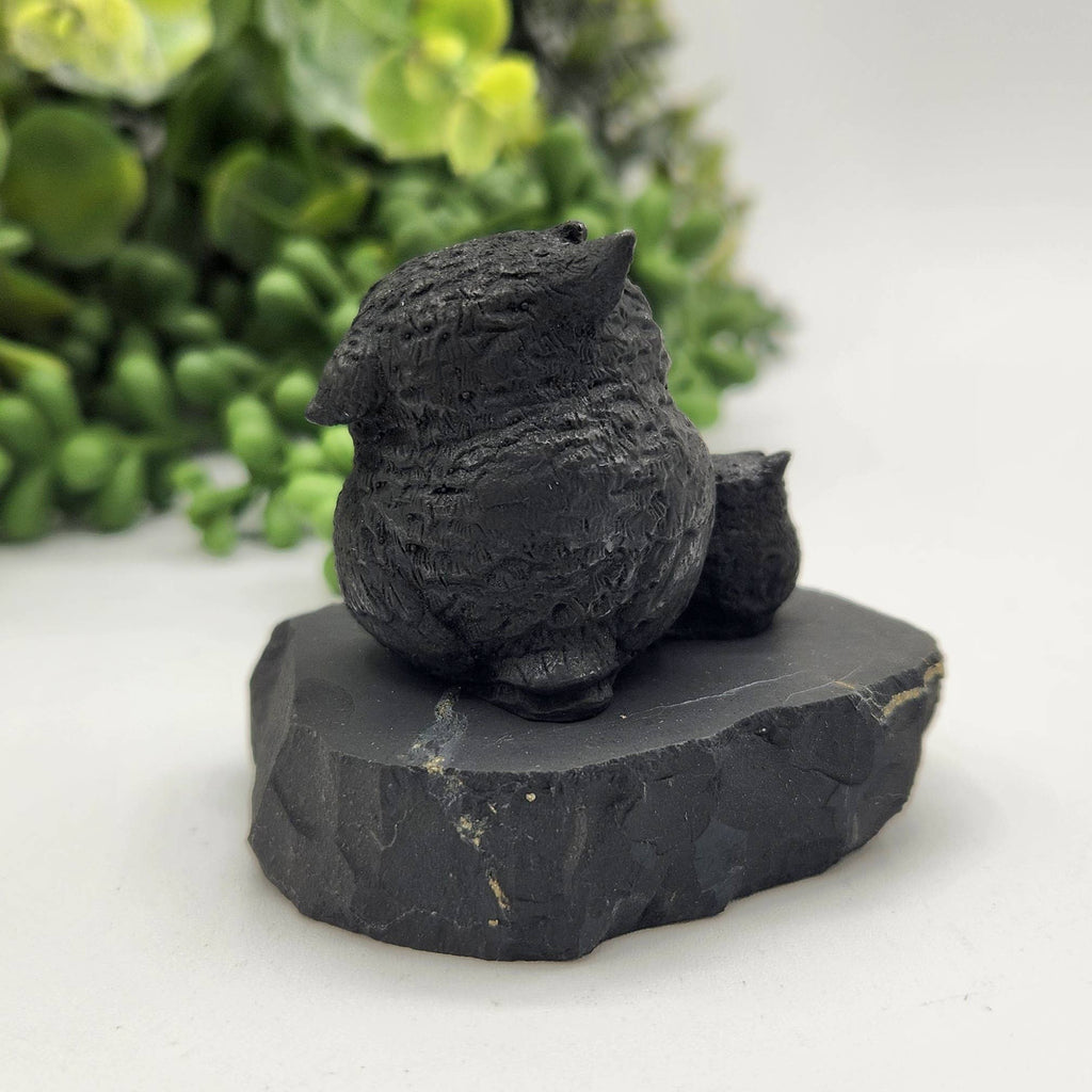Shungite Figurine Owl and Owlet - EMF Protection (6.5x4x5cm)