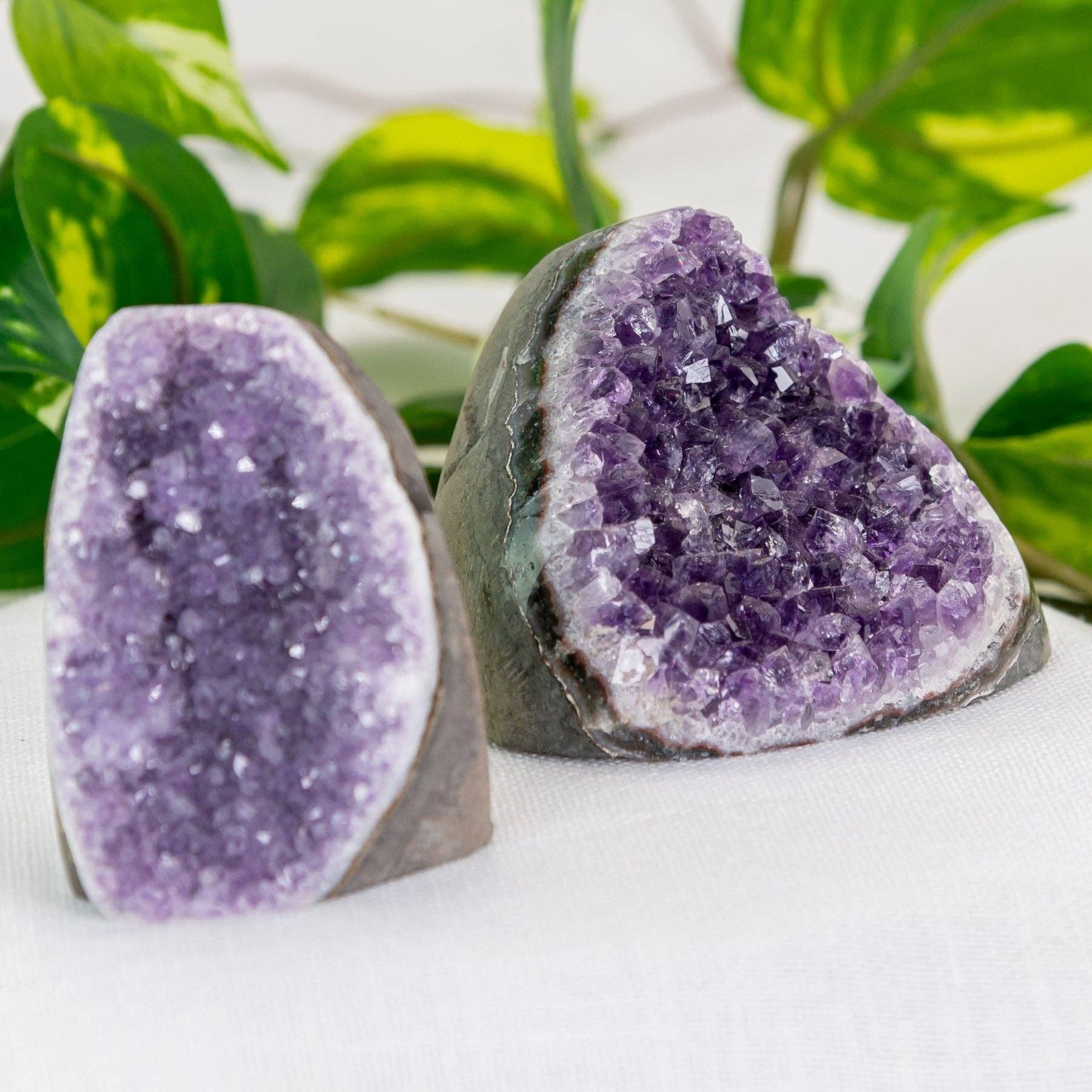 Amethyst Cut Base Geode Cluster.