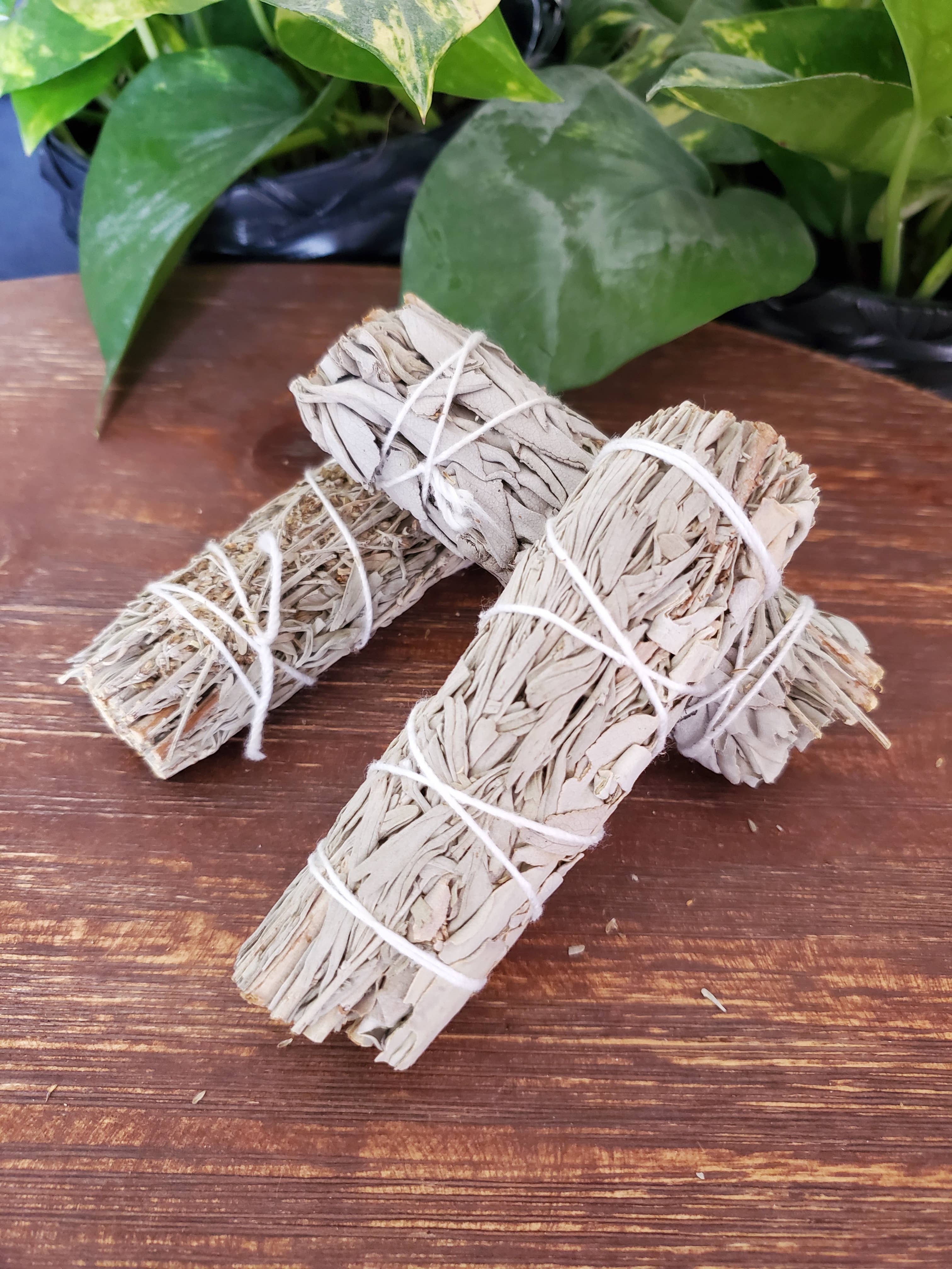 Sustainably sourced white sage bundle