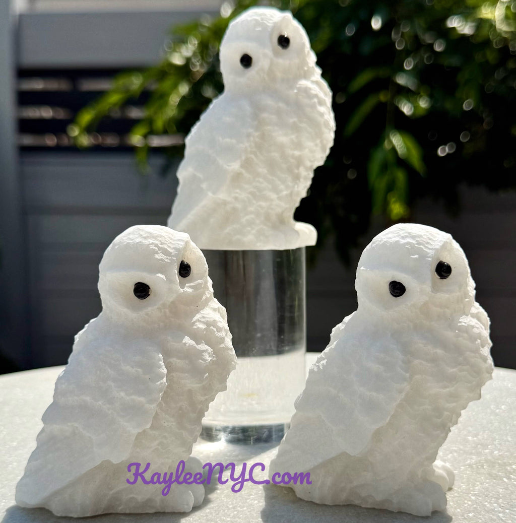 Natural Snow Quartz Owls Healing Energy