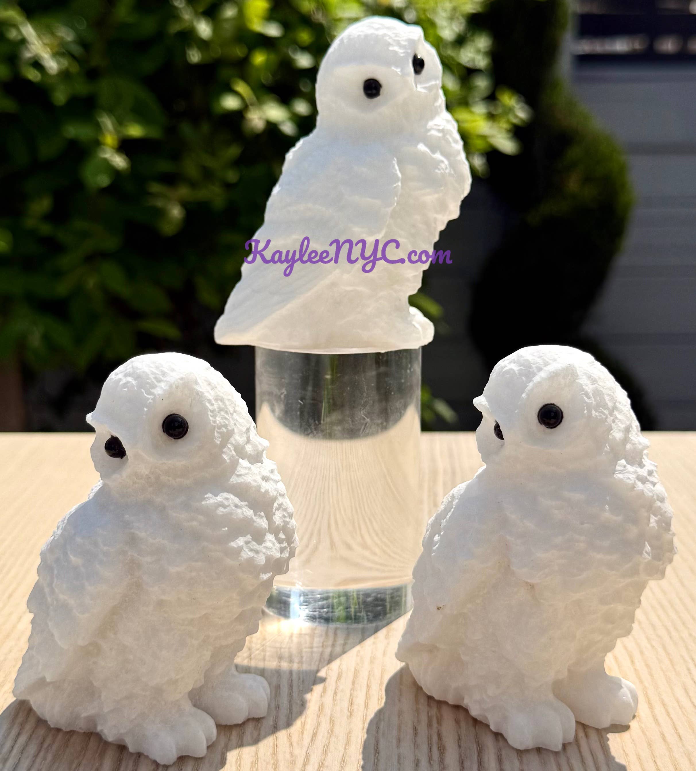 Natural Snow Quartz Owls Healing Energy