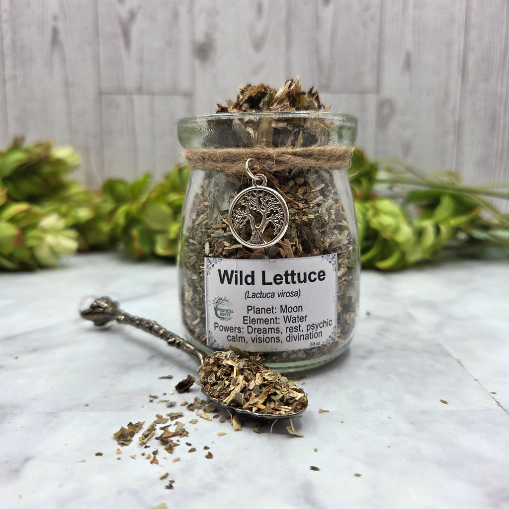 Wild Lettuce Apothecary Herb Jar – Ritual Botanical