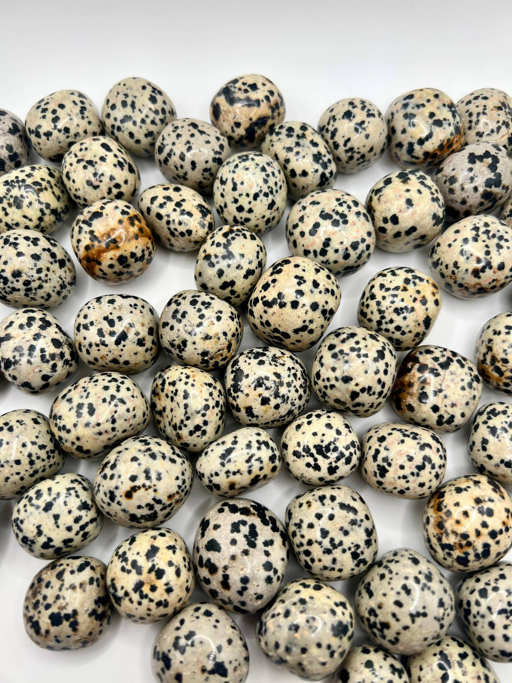 Dalmatian Jasper Crystal Tumble Stone