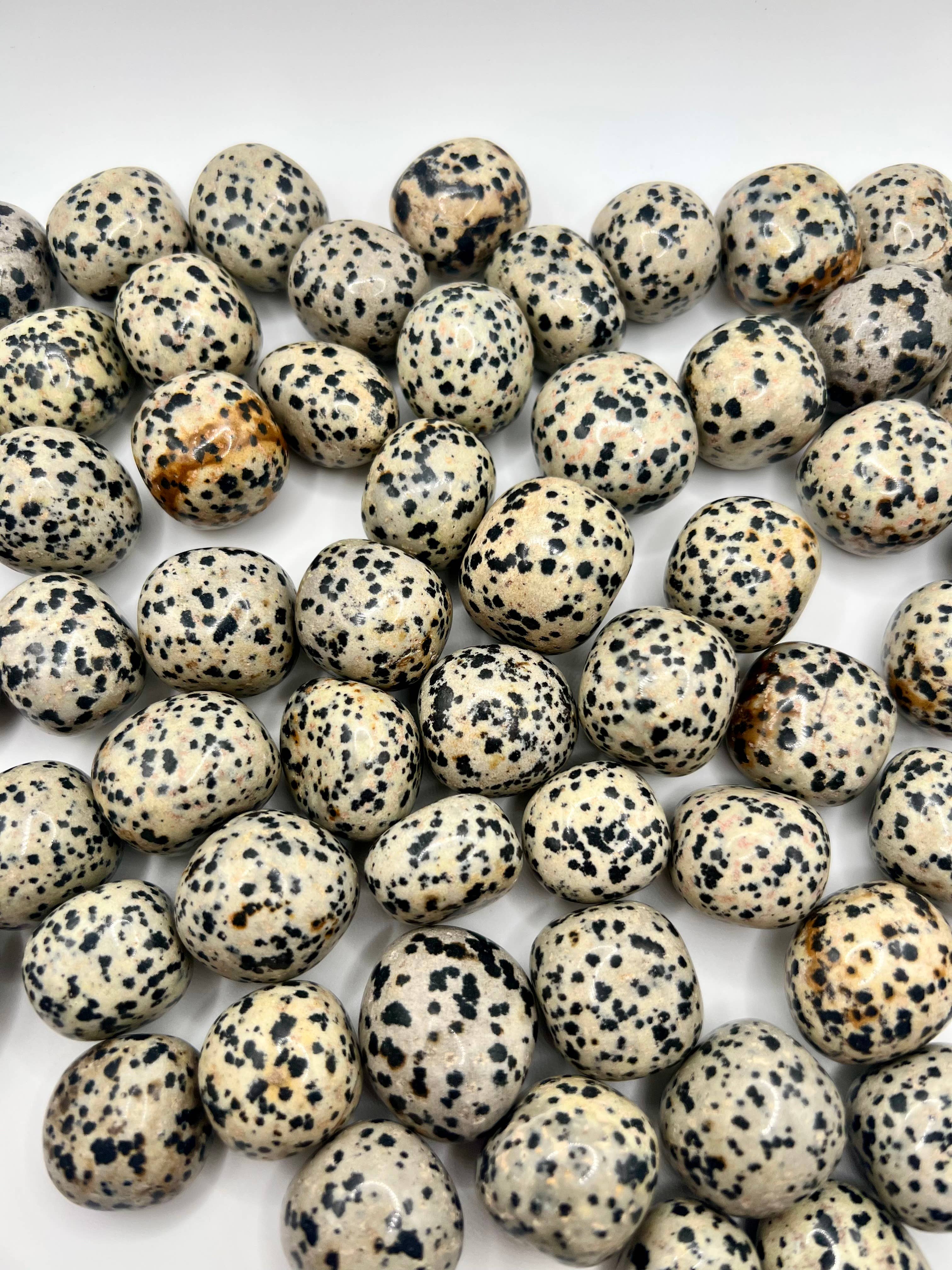 Dalmatian Jasper Crystal Tumble Stone