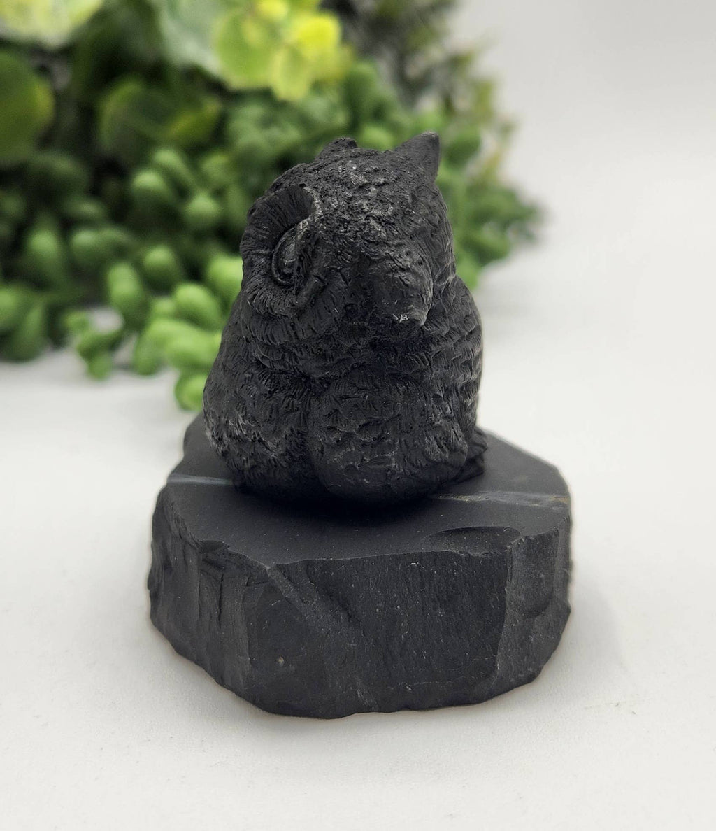 Shungite Figurine Owl and Owlet - EMF Protection (6.5x4x5cm)