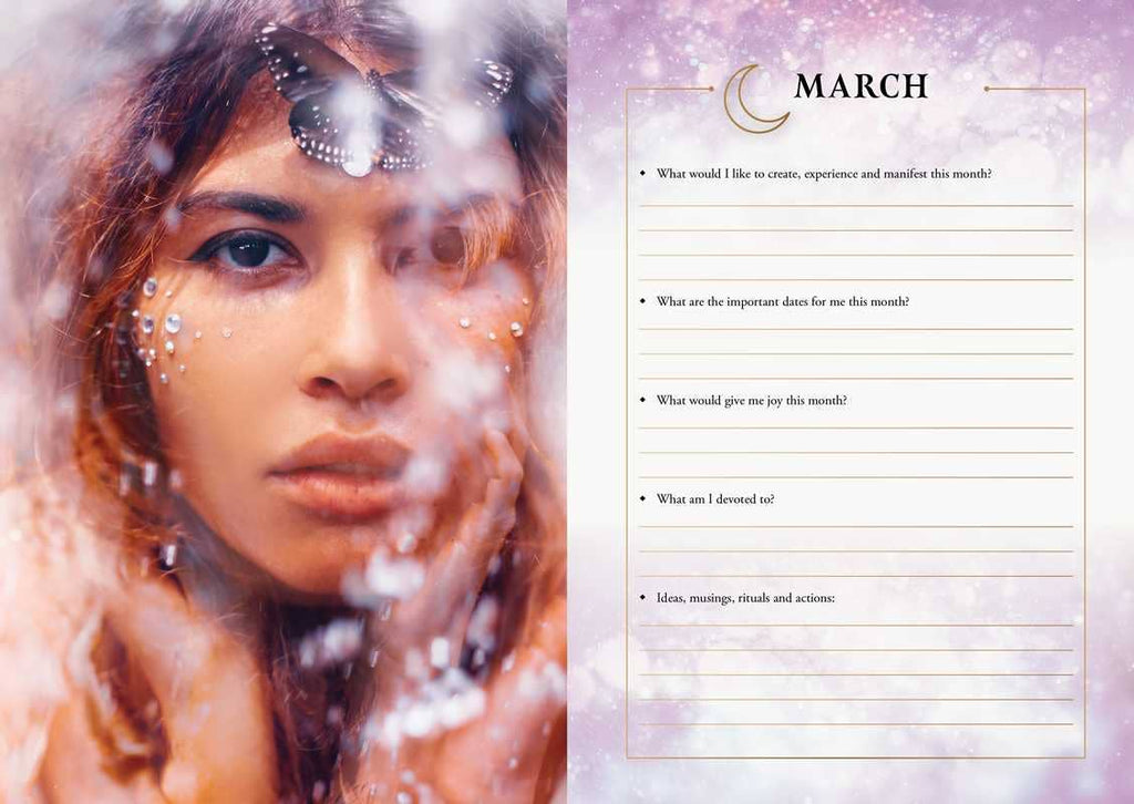 2026 Lunar and Seasonal Planner Calendar: Northern Hemisphere by Stacey  Demarco