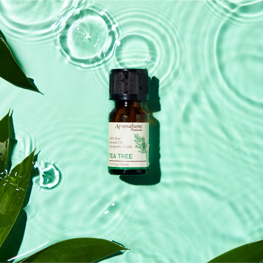Tea Tree Essential Oil | 100% Pure Aromatherapy Oil