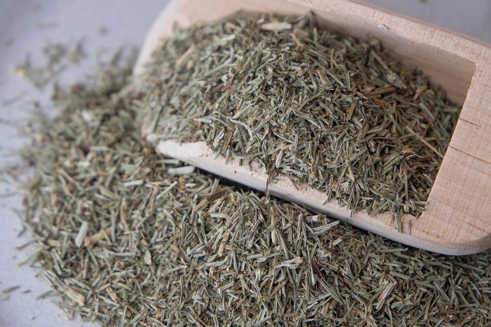 Horsetail | Single-Herb Retail Pack (.25 oz)