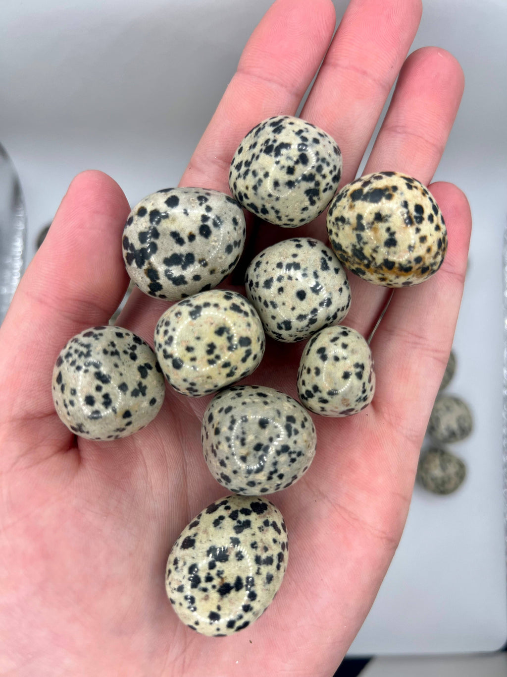 Dalmatian Jasper Crystal Tumble Stone
