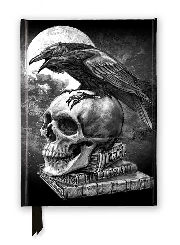 Alchemy: Poe's Raven (Foiled Journal) by