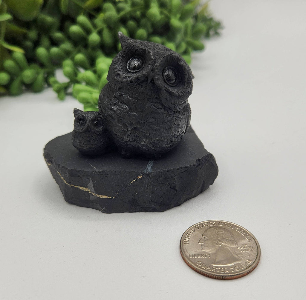 Shungite Figurine Owl and Owlet - EMF Protection (6.5x4x5cm)
