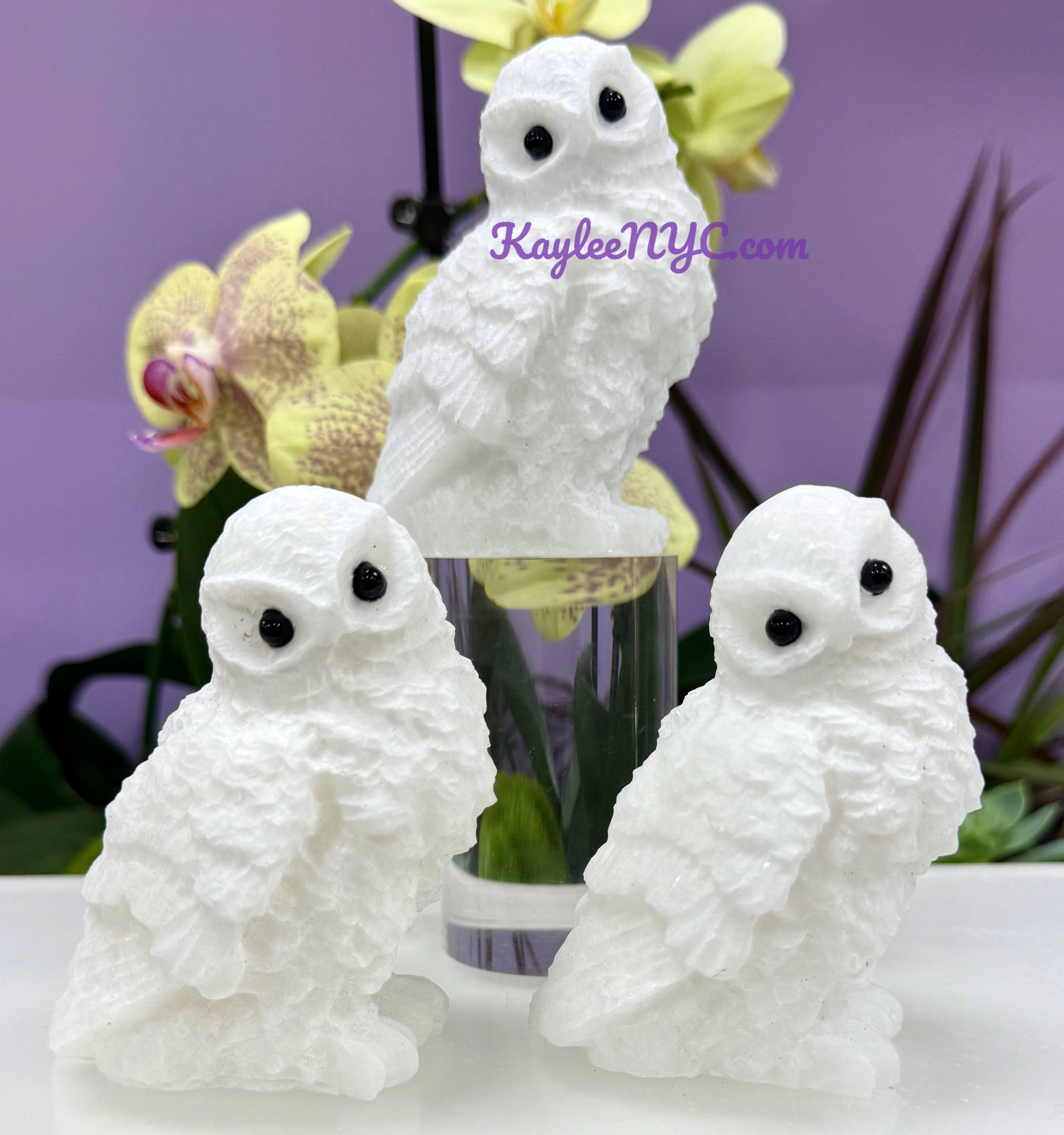 Natural Snow Quartz Owls Healing Energy