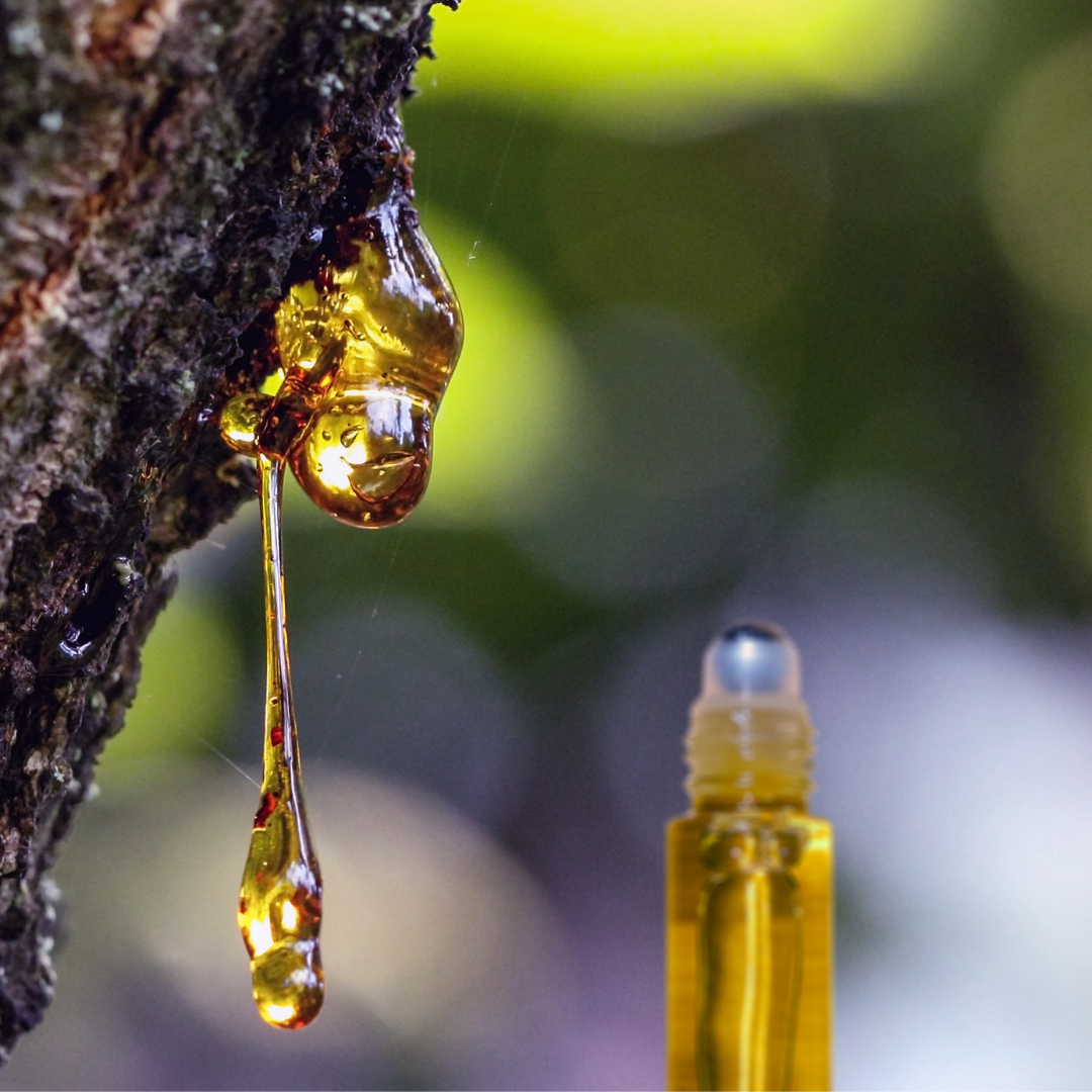 Copal Roll On | Fragrance Oil Roll On
