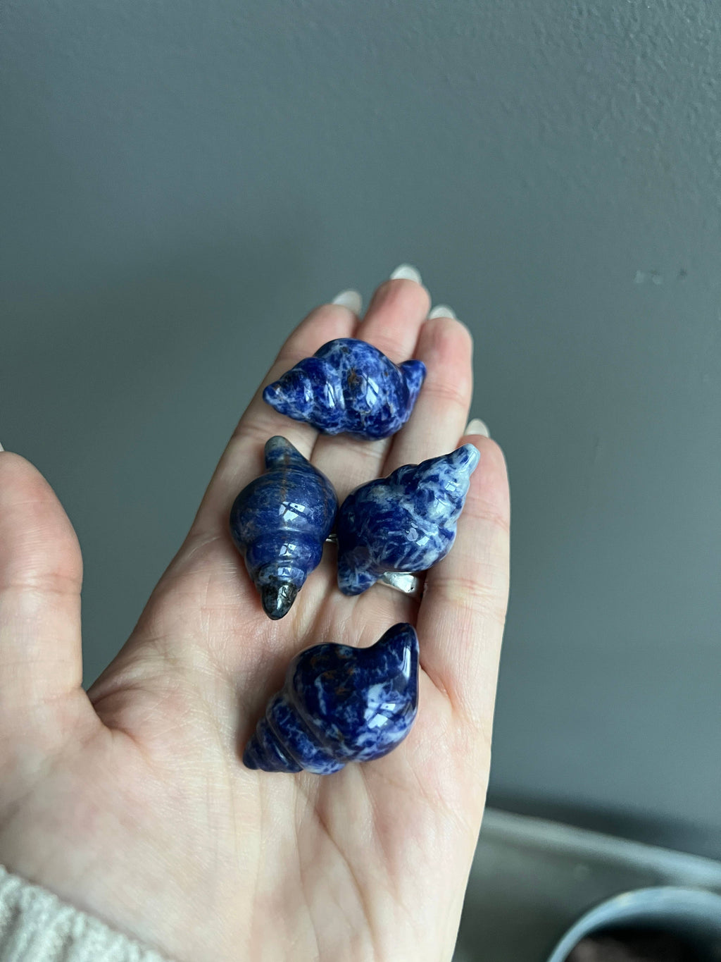 Sodalite Sea Shell Crystal Carving