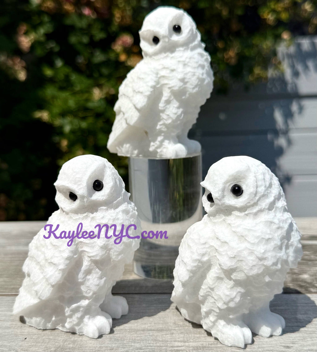Natural Snow Quartz Owls Healing Energy