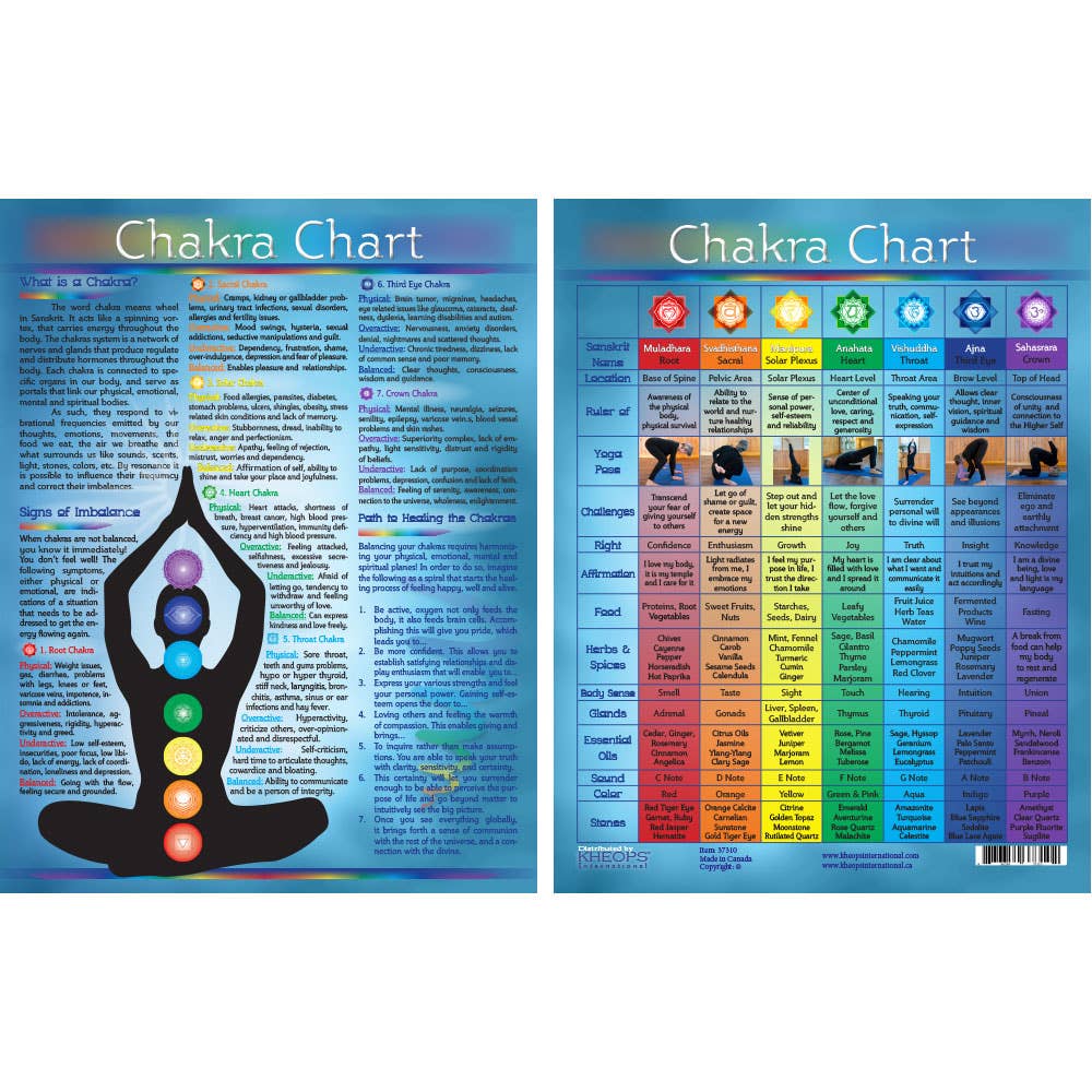 Information Chart English Chakras (Each)