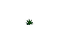 Pot Leaf Pin