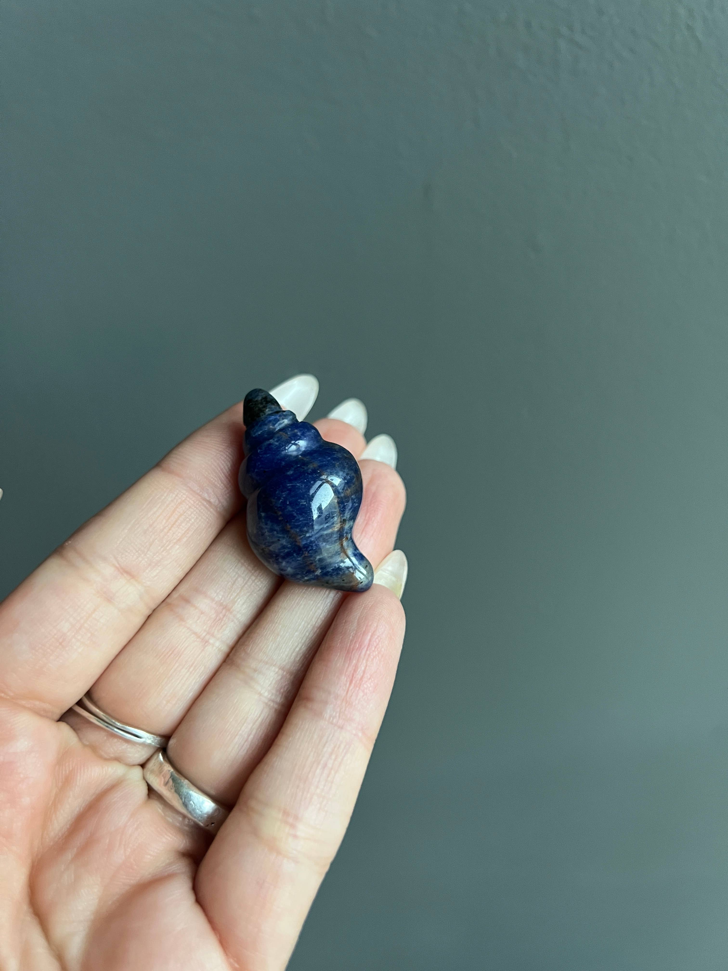 Sodalite Sea Shell Crystal Carving