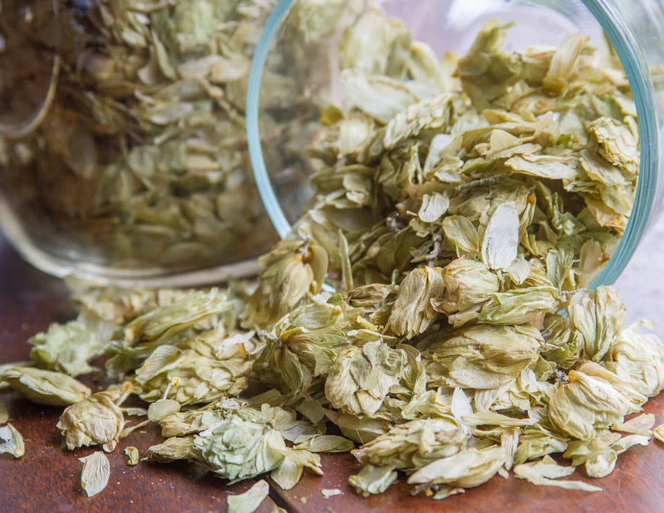 Hops | Single-Herb  (.10 oz)