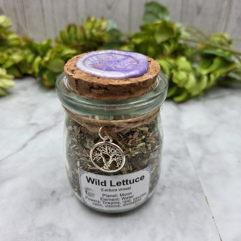 Wild Lettuce Apothecary Herb Jar – Ritual Botanical