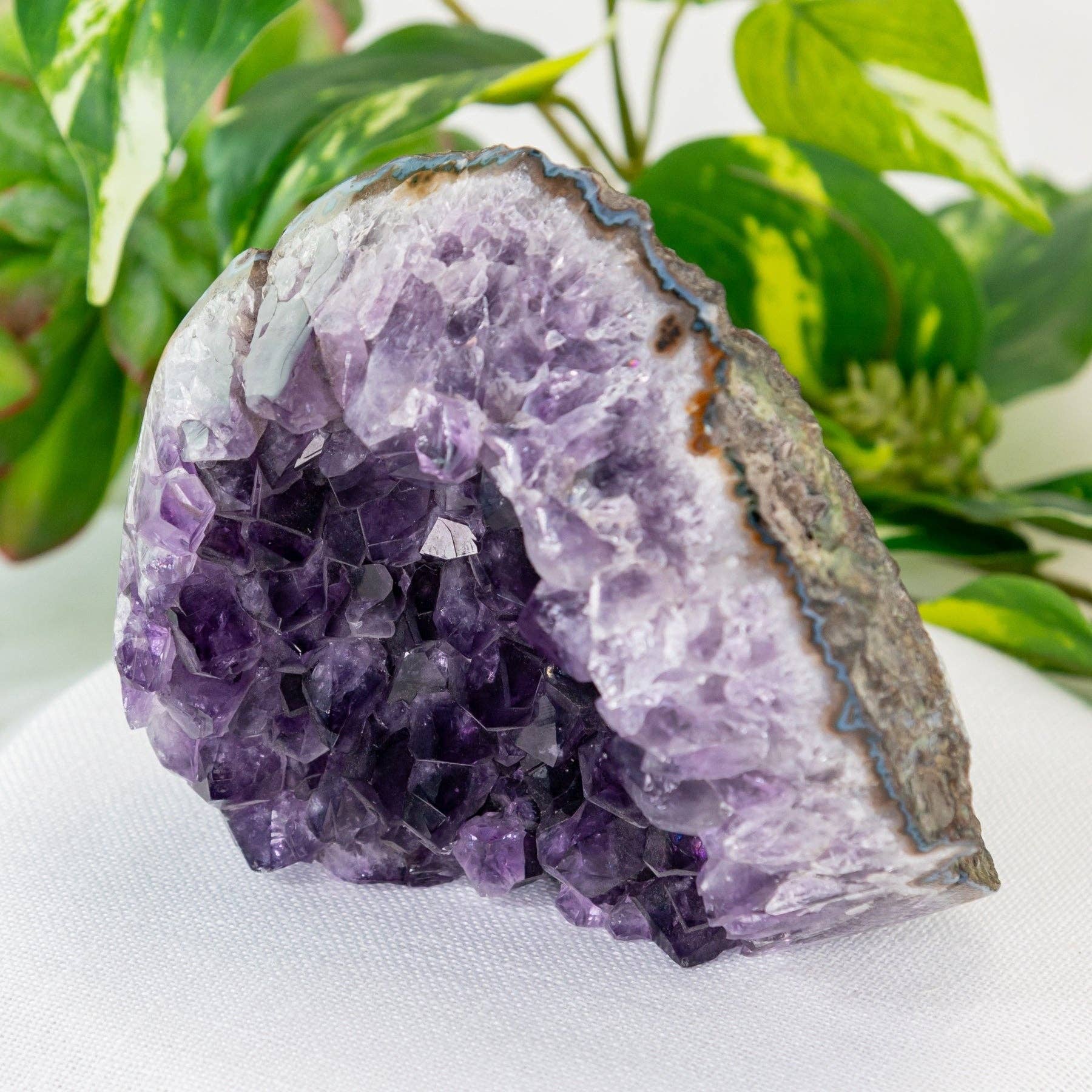Amethyst Cut Base Geode Cluster.