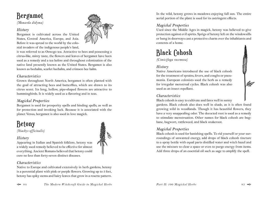 Modern Witchcraft Guide to Magickal Herbs by Judy Ann Nock